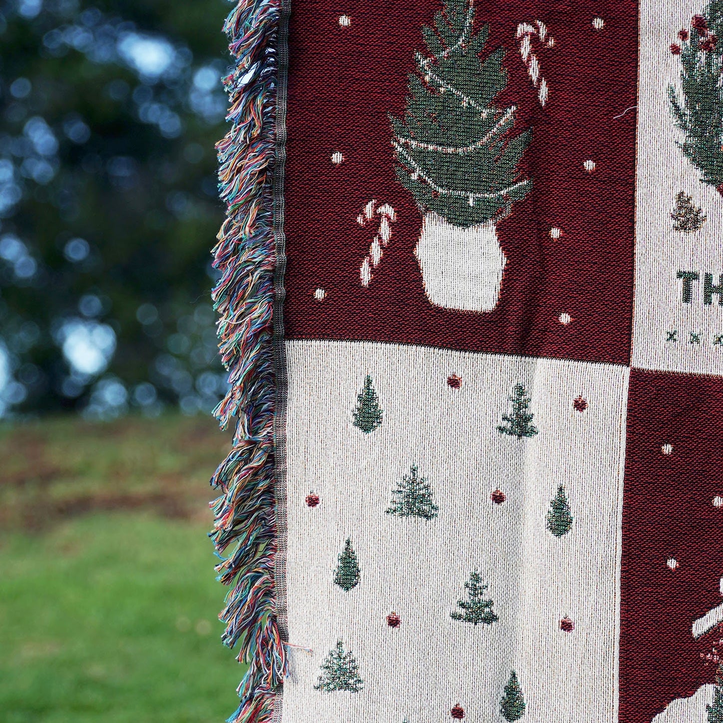 Personalized Holiday Gift Christmas Blanket Family Name Throw Blanket Holiday Decor Throw Blanket Christmas Gift For Parents Families