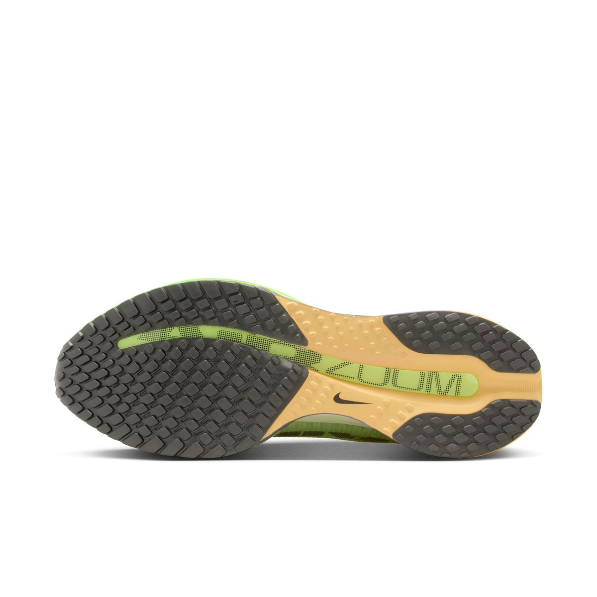 Nike Pegasus Premium HQ2592-701